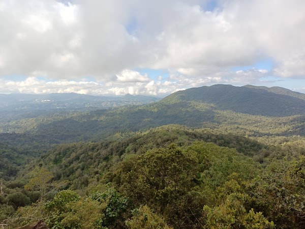 Reserva Científica Ebano Verde 4