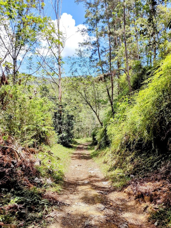 Reserva Científica Ebano Verde 2