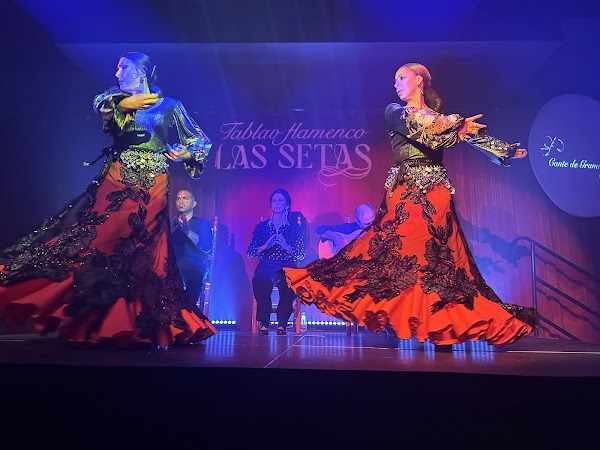 Tablao Flamenco Las Setas 5
