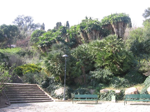 Parc del Turó del Putxet 5