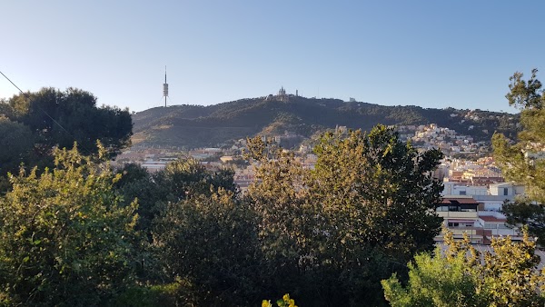 Parc del Turó del Putxet 3