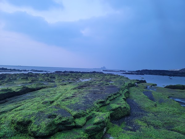 사계해변 5
