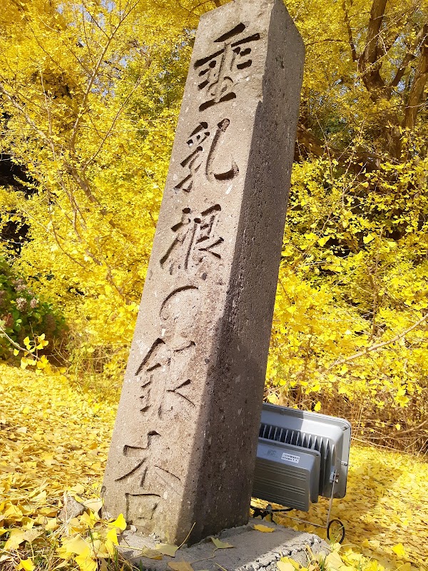 Giant Ginkgo Tree in Kitakanegasawa 2