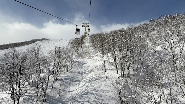 Japan 13
