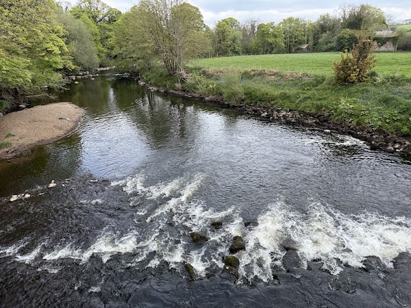 Roe Valley Country Park 5