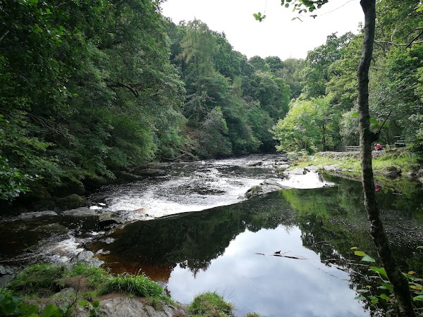 Roe Valley Country Park 4