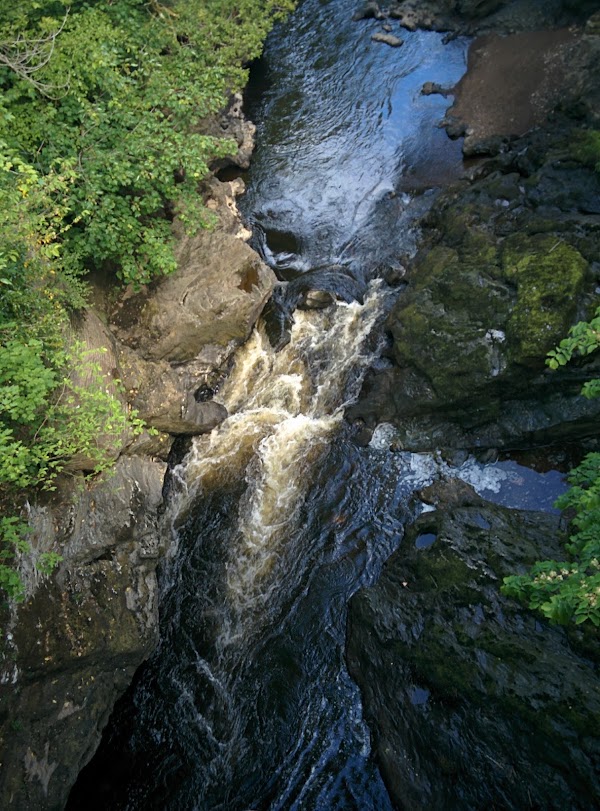 Roe Valley Country Park 3