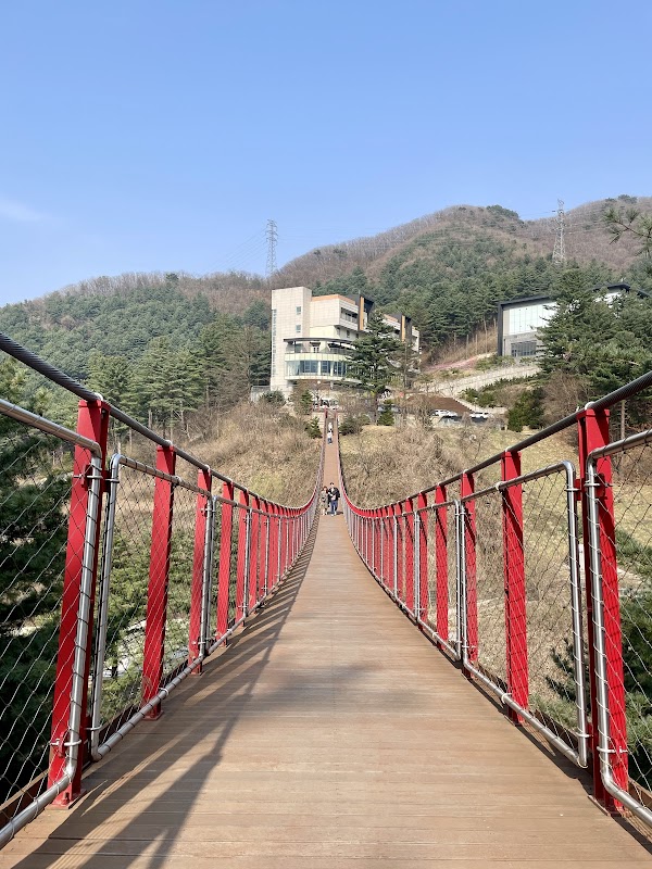 Amazing Park 1