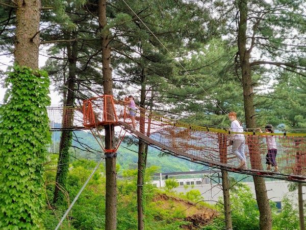 Amazing Park 5