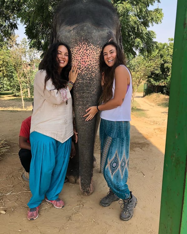 Elefantastic Elephant Sanctuary Jaipur 1