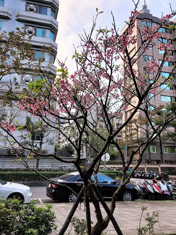 Xiangshan Park 2