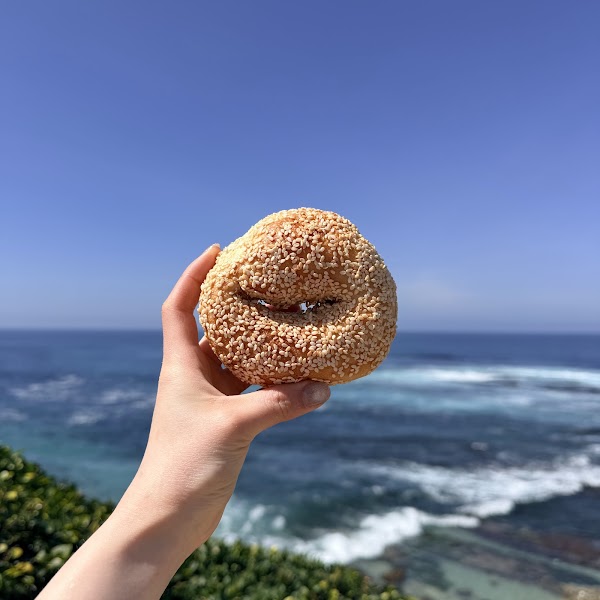 PopUp Bagels 5
