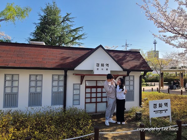 경화역 벚꽃길 2