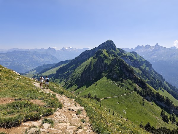 Gratwanderweg Stoos (Klingenstock-Fronalpstock) 5