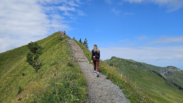 Gratwanderweg Stoos (Klingenstock-Fronalpstock) 3