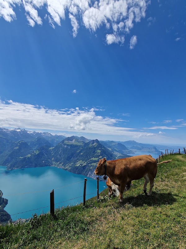 Gratwanderweg Stoos (Klingenstock-Fronalpstock) 2