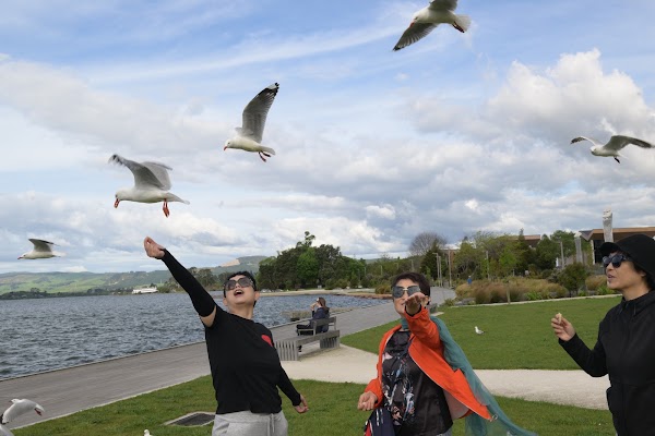 Lake Rotorua / Te Rotorua nui ā Kahumatamomoe 5