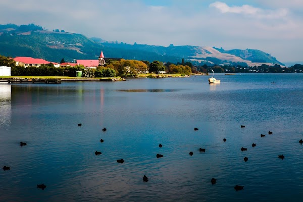 Lake Rotorua / Te Rotorua nui ā Kahumatamomoe 4