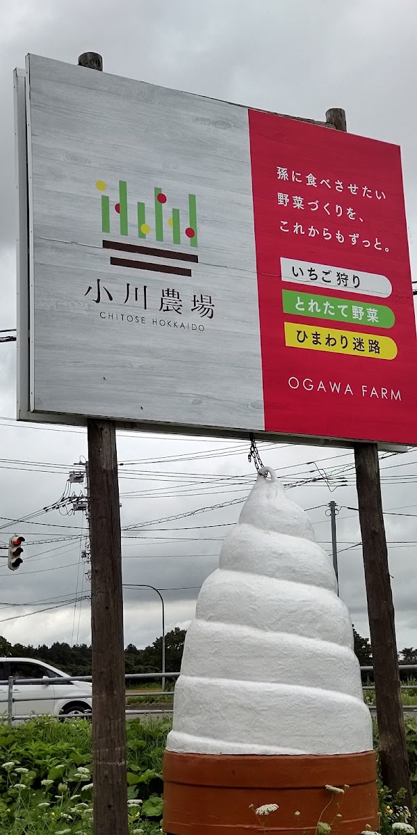 Ogawa Farm 3