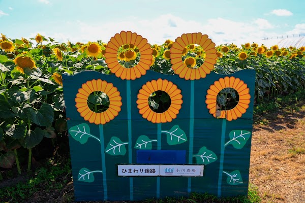 Ogawa Farm 2