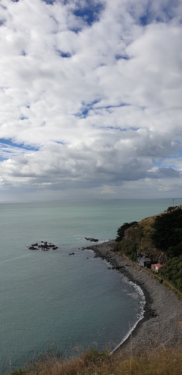 Godley Head Road 5