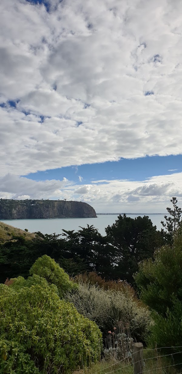 Godley Head Road 3