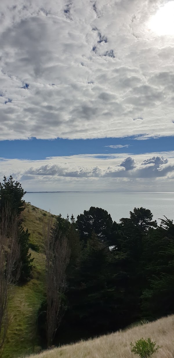 Godley Head Road 2