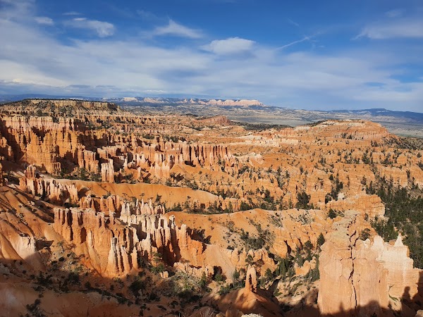 Rim Trail
