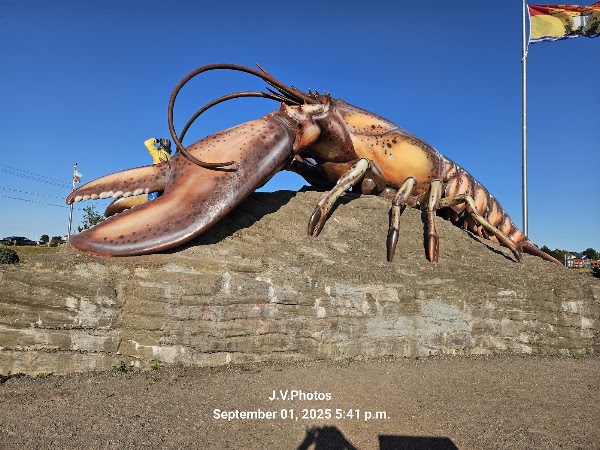 Giant Lobster 1