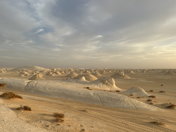 White Desert National Park 4