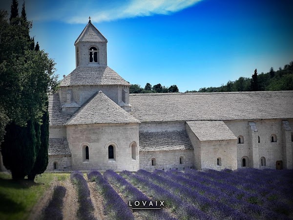 Abbaye Notre-Dame de Sénanque 4