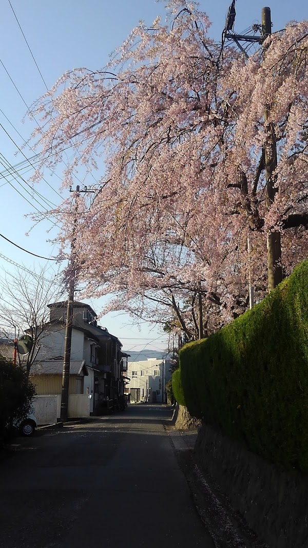 Gotemba 4