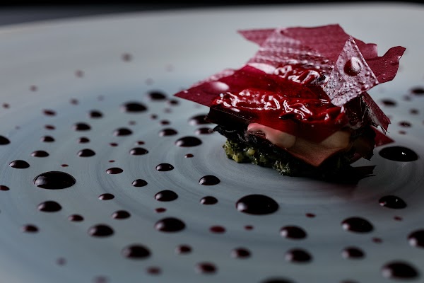 Alinea 4