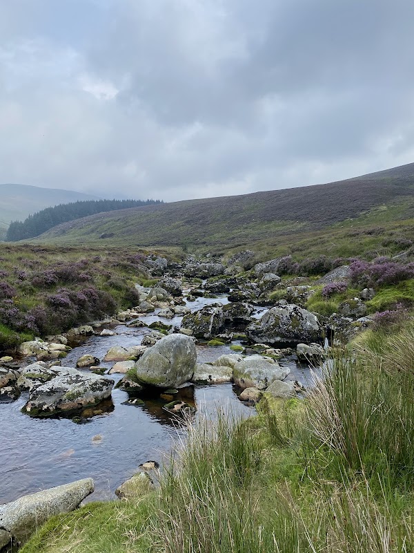 Lough Ouler 5