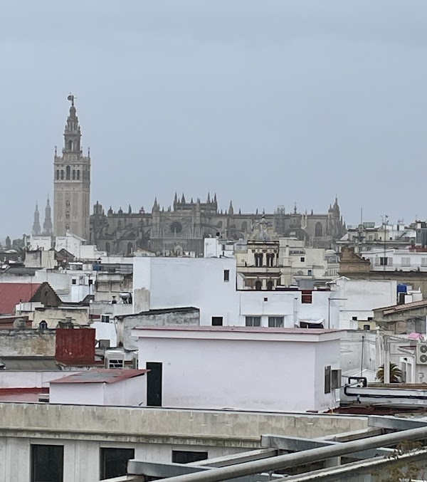 Gourmet Experience Duque 4