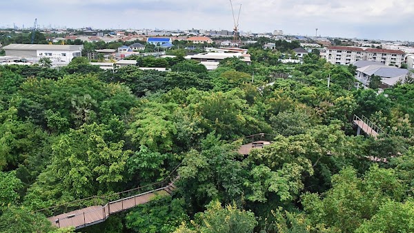 Metro Forest 1