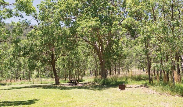 Youdales Hut campground and picnic area 5