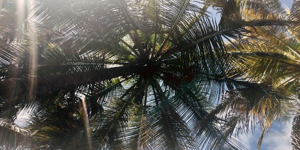Saint Vincent and the Grenadines