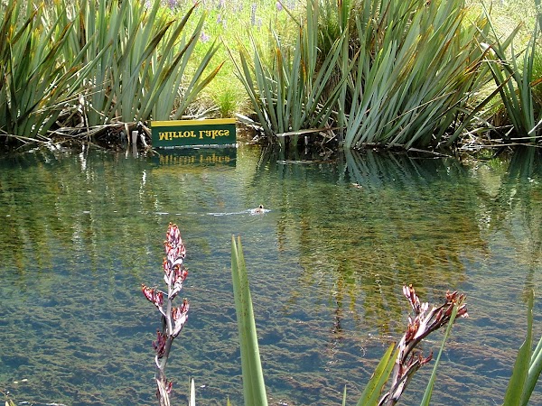 Mirror Lakes 2