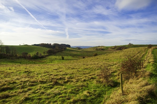The Slopes of Glumslöv and the Valleys of Hilleshög - Glumslövs backar