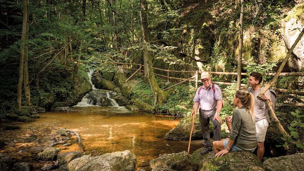 Ysperklamm - wildes Wasser, wilder Wald