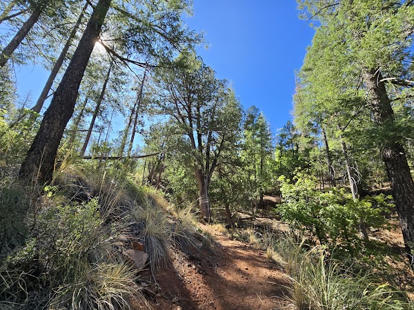 Washington Park