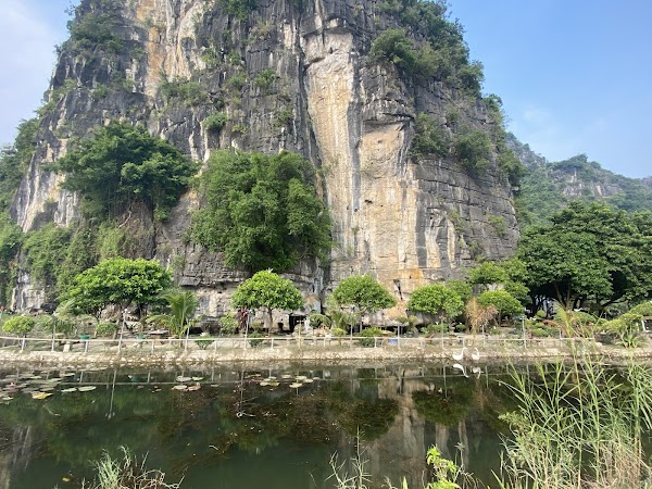 Buffalo Cave
