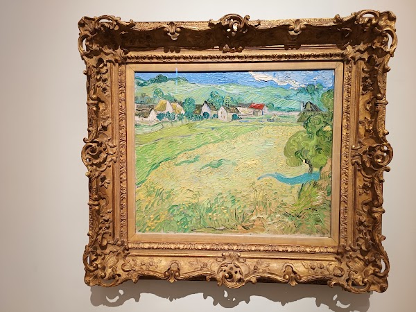Thyssen-Bornemisza Museum 4