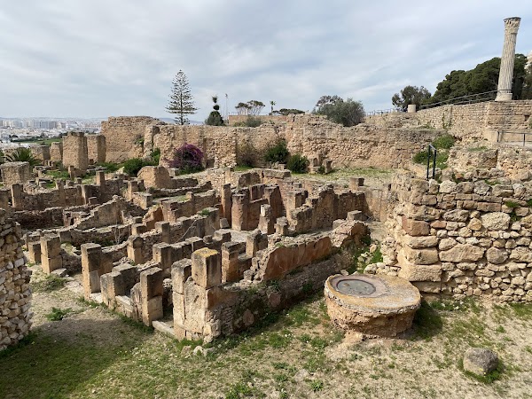 Archaeological Site of Carthage 1
