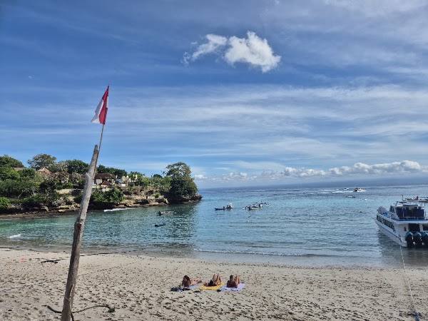 Mushroom Bay Beach 5