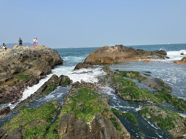 Cape D'Aguilar Marine Reserve 5