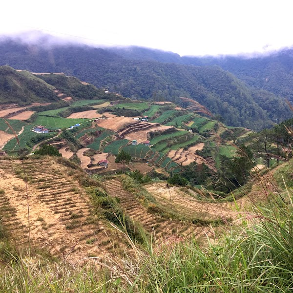 Mount Tabeyo