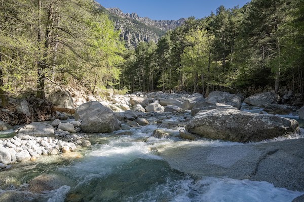 Gorges de la Restonica - Tragone di a Restonica