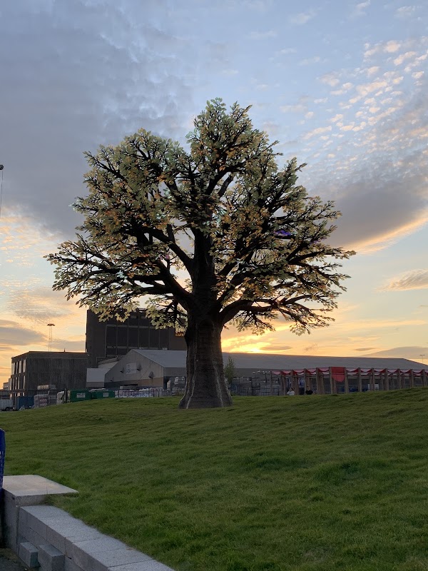 The Oslo Tree